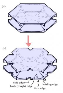 How some snow crystals hide their droplet origin